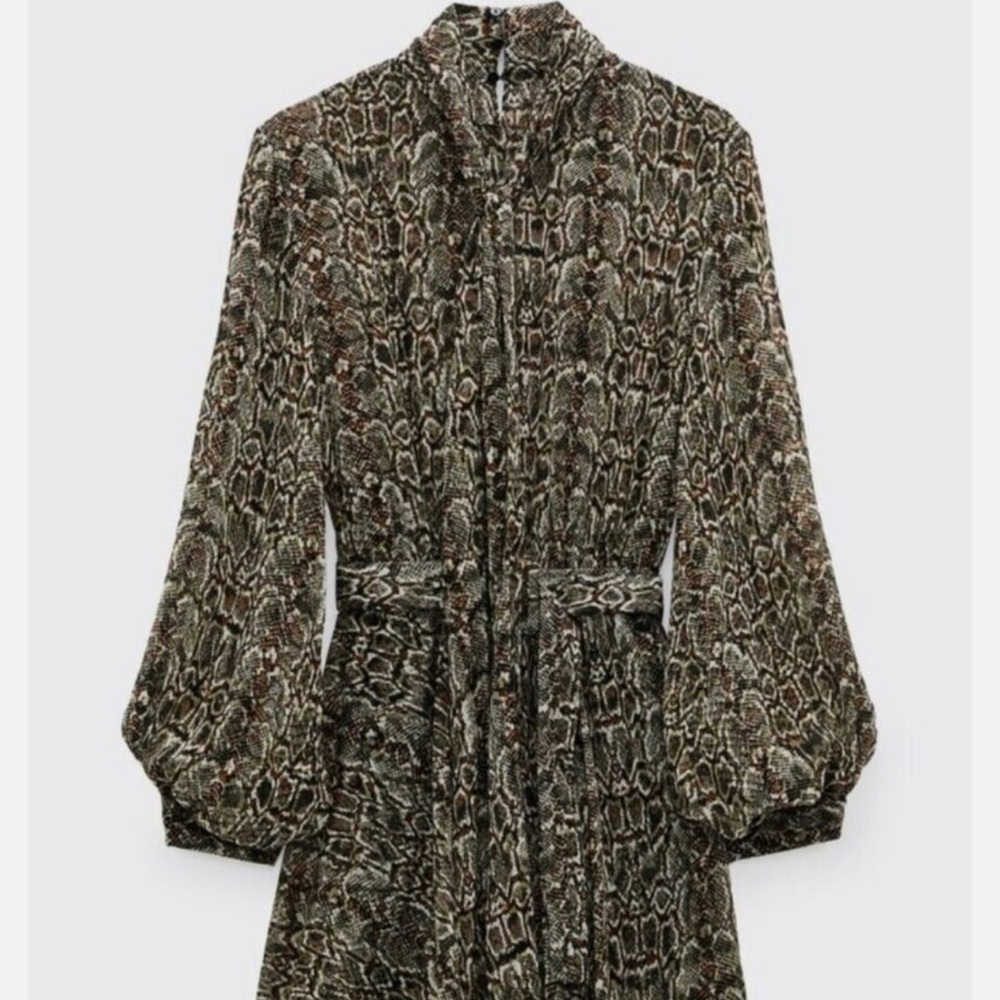 Zara Snake Print Dress